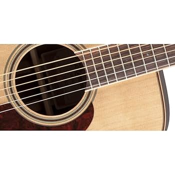 TAKAMINEアコースティックギター Amazon.co.jp: Takamine GY93-NAT New Yorker Acoustic Guitar